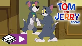 The Tom and Jerry Show | Tom the Dog and Jerry the Cat | Boomerang UK