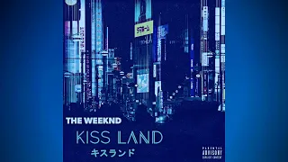 The Weeknd Kiss Land Type Beat "Calm"