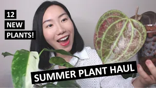 Meet My 12 New Plants: Philodendrons, Syngoniums, Hoyas, Anthuriums & Alocasia | Summer Plant Haul