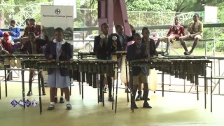 Avondale Primary  School - Marimba Ensemble