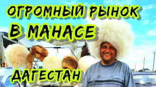 Дагестан СУМАШЕДШИЙ Рынок Манас | Мы были в ШОКе | Здесь есть ВСЁ, даже можно найти себе жену