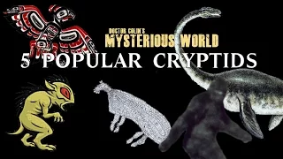 5 Popular Cryptids (mysterious creatures from around the world)