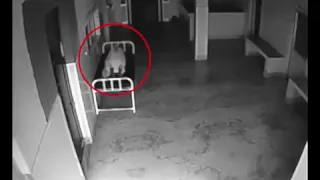 Ghost Coming Out Of Dead Body Caught On Cctv Camera Soul Leaving Dead Body, Hospital Cctv Footage 74