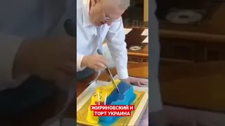 Жириновский режет торт