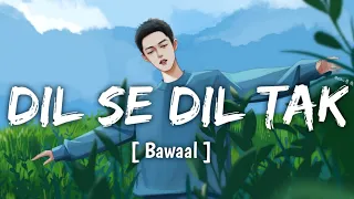 Dil Se Dil Tak || Bawaal || (Slowed And Reverb) || Varun, Janhvi || Sajid N, Nittesh