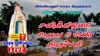 11 June 2022  @ 6 PM Mass | Villianur Lourdes Shrine | Holy Cross Tv | Daily Tv Mass | Today Tv Mass