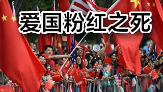 “爱国志士”，终究难逃社会铁拳！