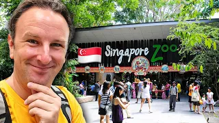 SINGAPORE ZOO Guide: The World's Best Rainforest Zoo!