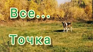 С КРС покончено. Никаких больше коров. Почему?