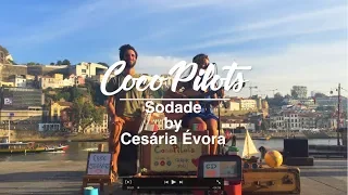 Sodade - Cesária Évora (Cover by CocoPilots)