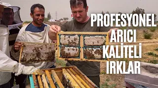 Kaliteli Arılar, Tatlı Sonuçlar: Profesyonel Arıcılığın Başarı Hikayesi | Arıcılık