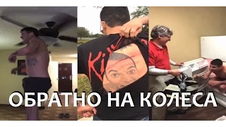 Steve-O. Русская озвучка. Back On Drugs? / Обратно На Колёса?