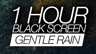 1 Hour Gentle Rain Sounds For Sleeping (Black Screen) - Relaxing 432Hz Sleep Meditation Music