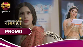 Ishq Ki Dastaan Naagmani | चुड़ैल के मंसूबे को पारो कैसे करेगी नाकाम? | New Show Promo | Dangal TV