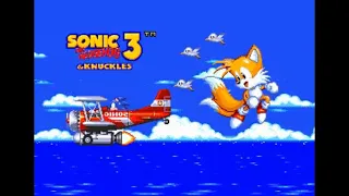 Sonic 3 & Knuckles (Genesis) - Super Tails Longplay with New Game+