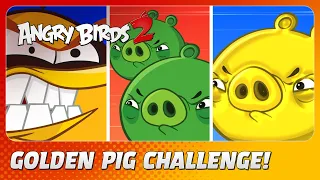 Angry Birds 2: A New Challenge!?