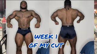 CUTTING | BACK TRAINING | GYM TALK