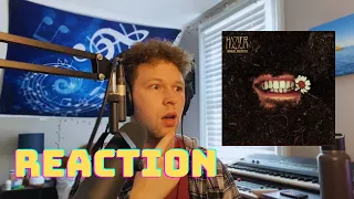 Hozier - Unreal Unearth REACTION