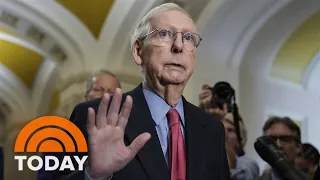 Mitch McConnell brushes off questions he might step down