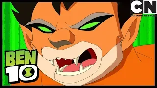 Ben 10 Español | El Chupacabra Ataca | El Chupacabro | Cartoon Network