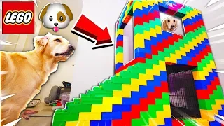 WORLD'S BIGGEST 2 STORY LEGO MANSION for PUPPY! (GIANT LEGO DOG HOUSE)