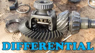 How a Differential Works