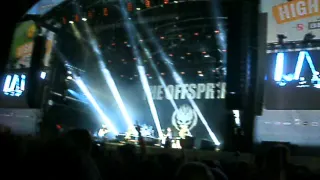 Highfield 2015 - The Offspring; Pretty fly for a white guy