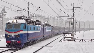 Электровоз ЧС7-026 с поездом №074Л Львов – Москва (11.01.2020)