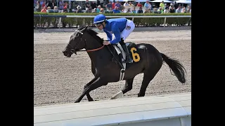 Gulfstream Park Resumen - 28 de Marzo 2024