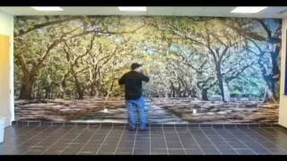 ORACAL USA - Indoor Wall Mural Installation