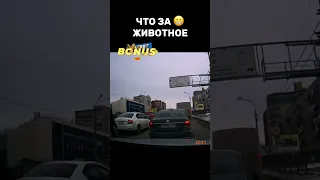 Таких изолировать нужно      #автохам