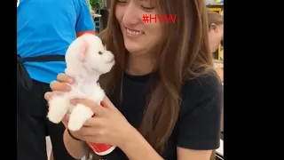 Tik Tok Chó Phốc Sóc Mini 😍 Funny and Cute Pomeranian #34 Clip 2 1