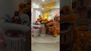 Charming Lion Dance! | 舞狮 #shorts #liondance #keponghongteck