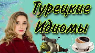 ТУРЕЦКИЕ ИДИОМЫ ИЛИ ПОЧЕМУ ТУРКИ ДРУЖАТ 40 ЛЕТ?