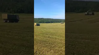 Заготовка сена и сенажа в Беларуси