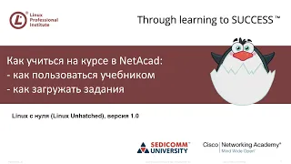 Linux с нуля. Как читать учебник и выполнять задания в системе NetAcad