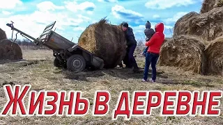 Из города в деревню 165 серия