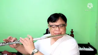 Wait There by Yiruma (Flute Cover)