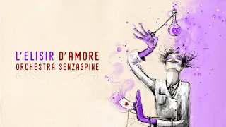 L'ELISIR D'AMORE ✩ Donizetti ✩ Orchestra Senzaspine
