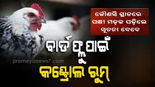 Odisha Govt Opens Control Room To Curb Bird Flu
