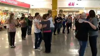 International Rueda De Casino Flash Mob Day - Ljubljana, Slovenia - Official video