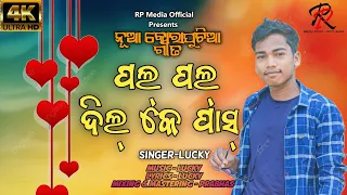 Pal Pal Dil ke Paas  Koraputia Desia Song || Lucky || New Koraputia Song 2023 || RP Media Official ™