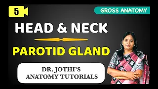 Head & Neck Parotid Gland (PART - 1) GROSS ANATOMY Class - 5