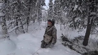 Life in wild Siberia, fur hunting, the first sable, setting traps | Life of a Trapper