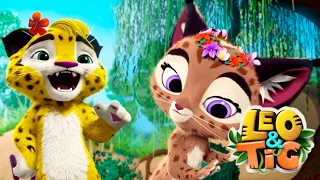 LEO and TIG 🦁 NEW 🐯 Episode  21- Bad Luck ❤️ Moolt Kids Toons Happy Bear