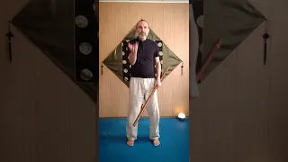 Упражненин с палкой вращение на себя / exercises with a stick, self rotation (Виктор Лактионов)