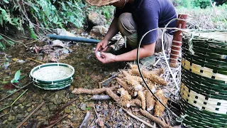Build a Fence, Handmade Bamboo Basket, Cook Yam: Survival Alone in the Rainforest |EP.69