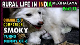 Smoky turns Mummy of 6 | RURAL LIFE IN INDIA Meghalaya Part 71 | VILLAGE LIFE 27 | Channel27u |