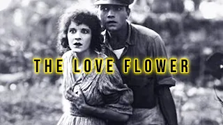 The Love Flower (1920) D.W. Griffith - Crime, Drama Silent Film