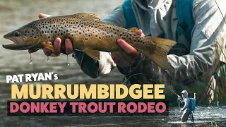 Insane Fly Fishing Session from Hains Hut on the Upper Murrumbidgee River | Kosciuszko National Park